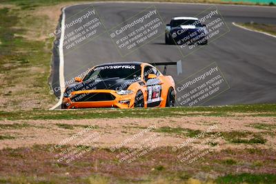 media/Feb-25-2024-Speed Ventures (Sun) [[b9a2a97a4d]]/Mustang Drivers Club/Session 3 (Turn 2)/